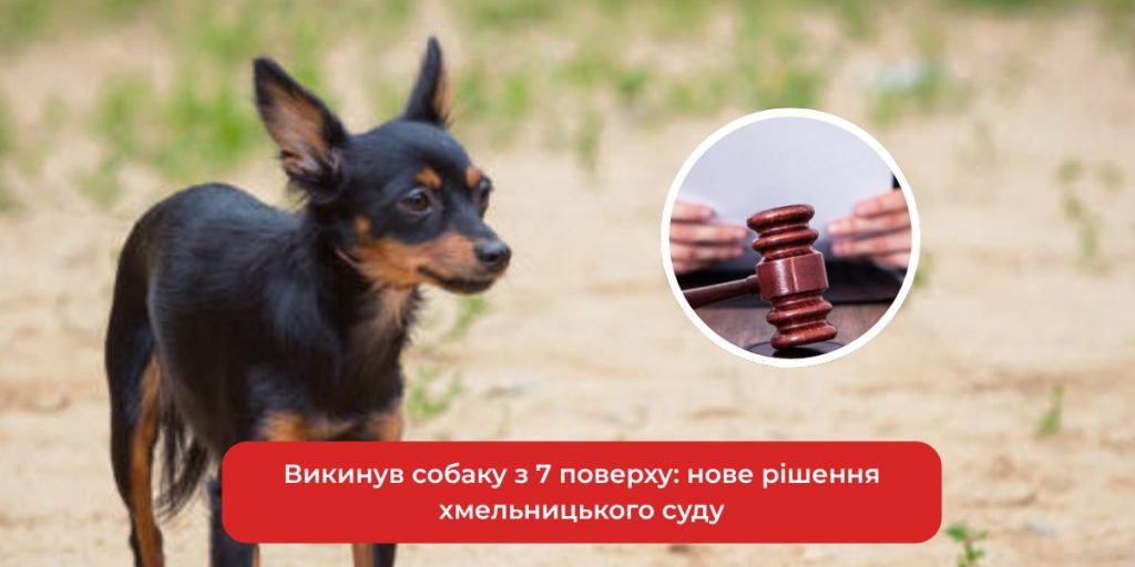 порожній нашийник і порваний повідець на підвіконні, символічне зображення