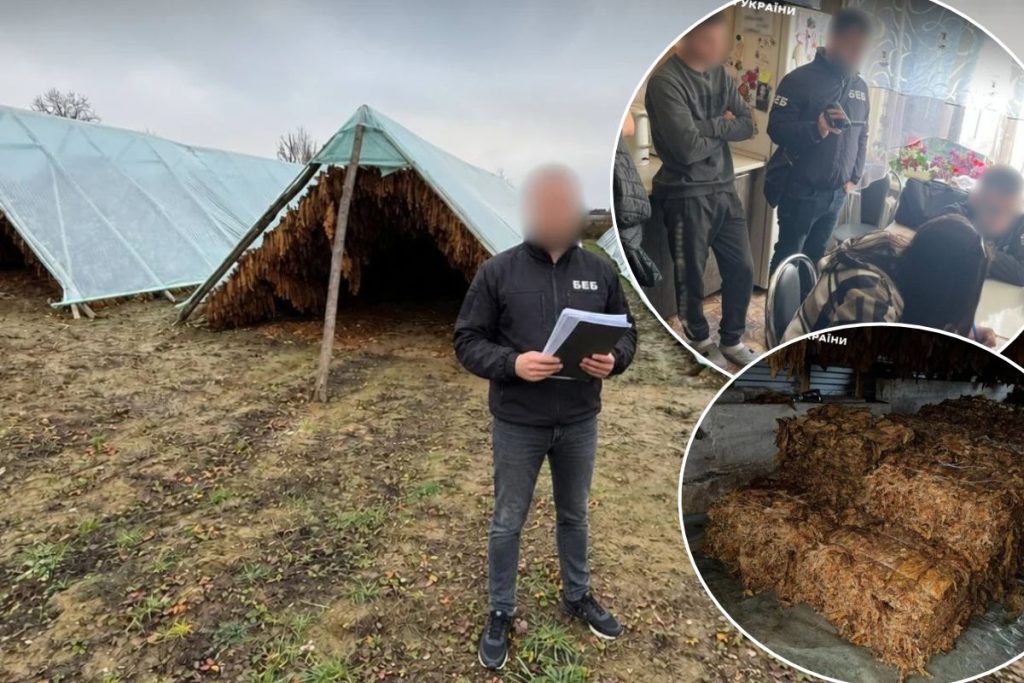 предметна композиція з тютюновим листям, посилками та документами