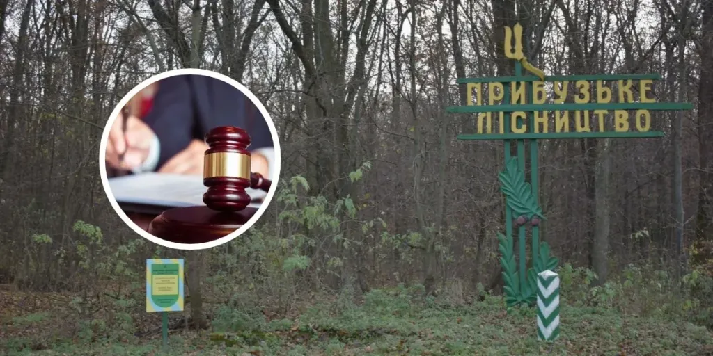 кадастрова мапа, циркуль і мініатюрний сосновий ліс на столі