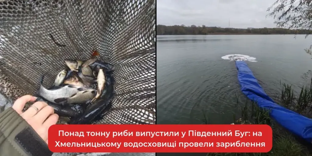 річковий берег з рибальською сітиною та відром риби, нікого не видно