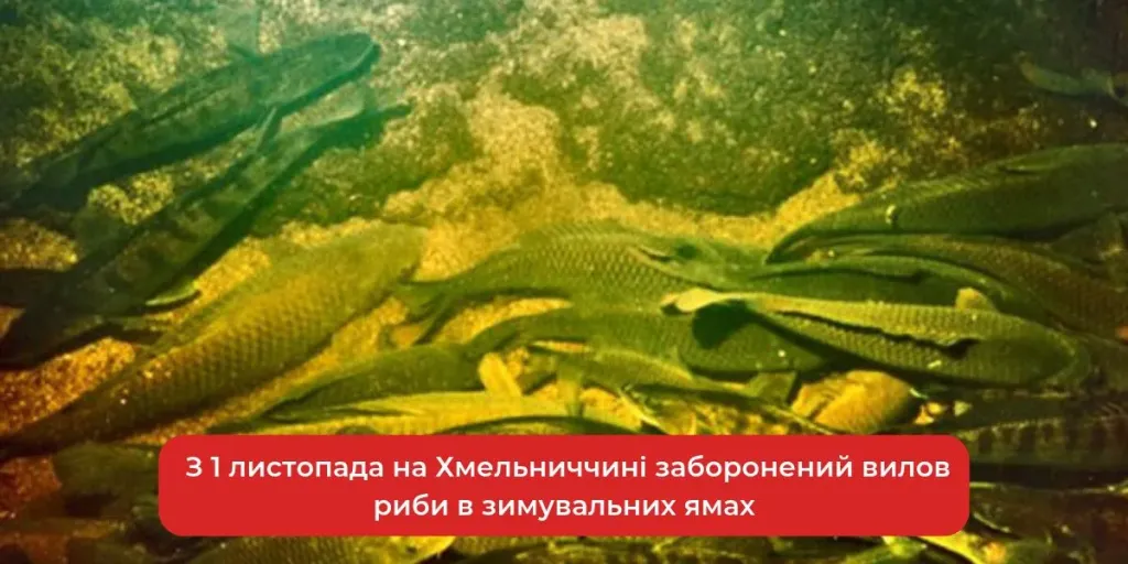 Осіння водойма з рибальським спорядженням на березі без людей.