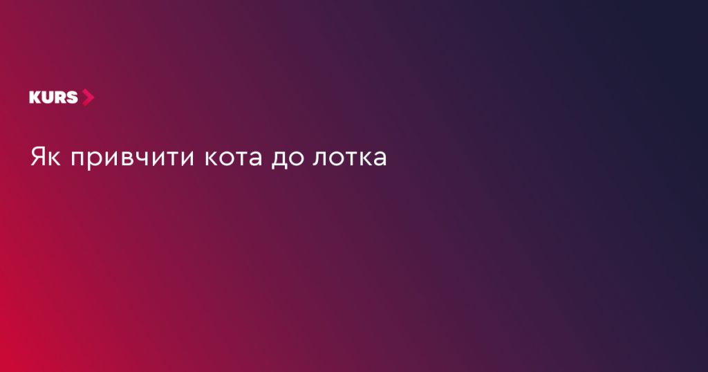 Сцена з лотком, совком і пакетами наповнювача, мʼяке природне світло