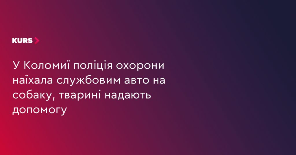 символічна сцена: на узбіччі дороги службовий поліцейський автомобіль і поранена собака поруч, без людей