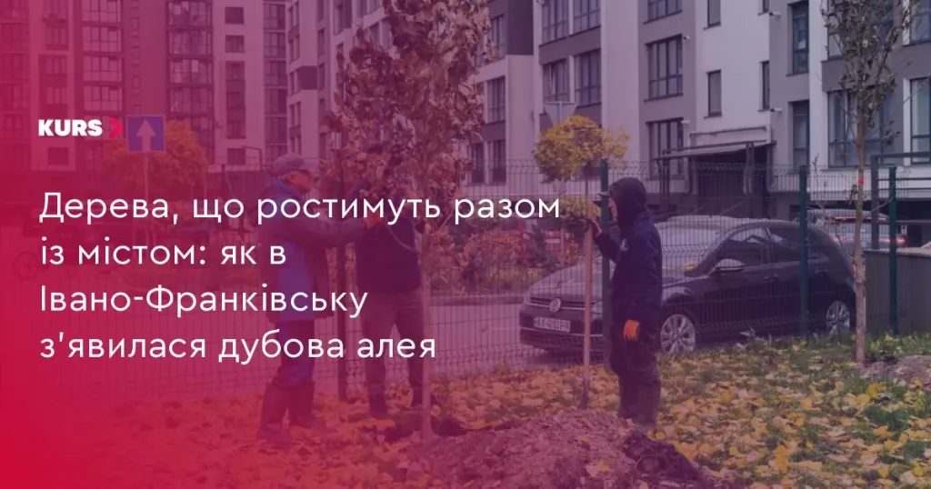Молода дубова алея біля набережної, саджанці та інструменти на передньому плані