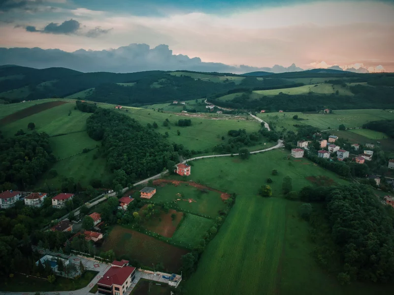 натюрморт з горіхами, банками з варенням з дикої троянди та дерев'яним фоном