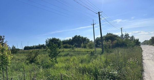 Підприємець з Харкова придбав земельну ділянку на Львівщині за більше ніж 4,6 млн грн: подробиці угоди