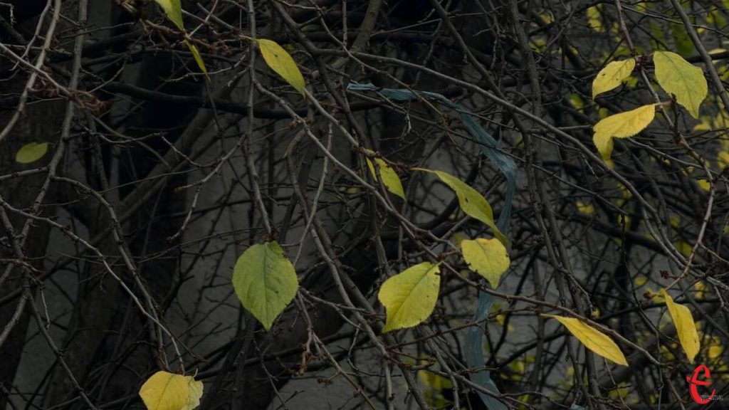 символічне фото: парасоля, термометр і розмита карта в осінніх тонах