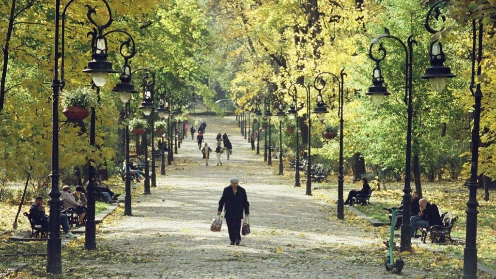 Прогноз погоди: зниження температури, заморозки та опади