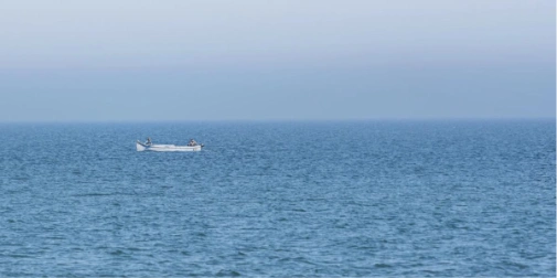 Корейський морський окунь на льоду на ринку біля моря, без людей